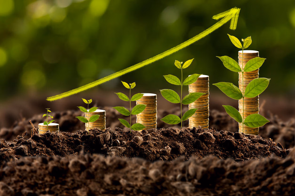 Q&A - Financial Literacy | Fintelligence